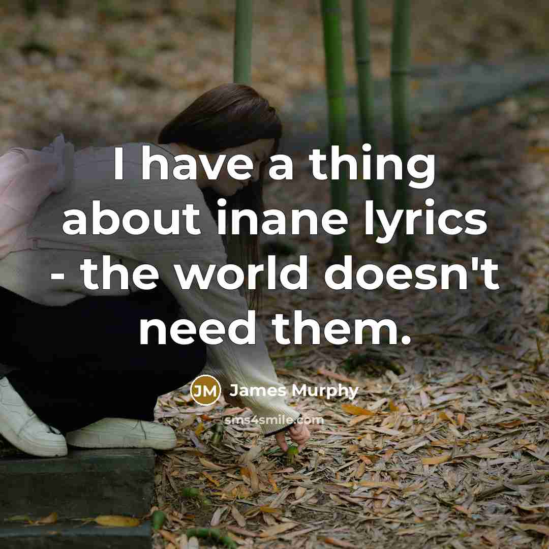 “I have a thing about inane lyrics - the world doesn't need them.” quote by James Murphy