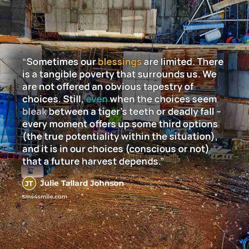 “Sometimes our blessings are limited. There is a tangible poverty that surrounds us. We are not offered an obvious tapestry of choices. Still, even when the choices seem bleak between a tiger’s teeth or deadly fall -- every moment offers up some third options (the true potentiality within the…” quote by Julie Tallard Johnson