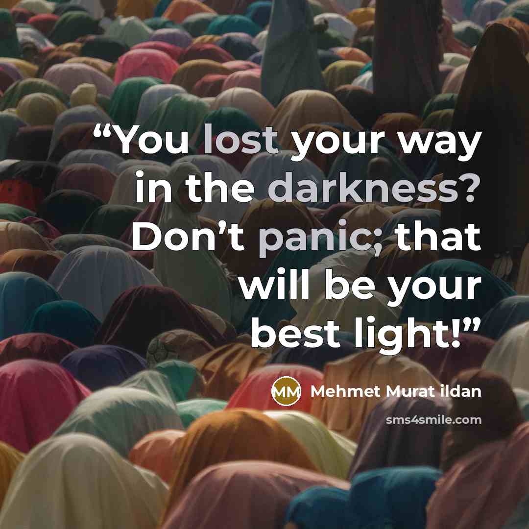 “You lost your way in the darkness? Don’t panic; that will be your best light!” quote by Mehmet Murat ildan