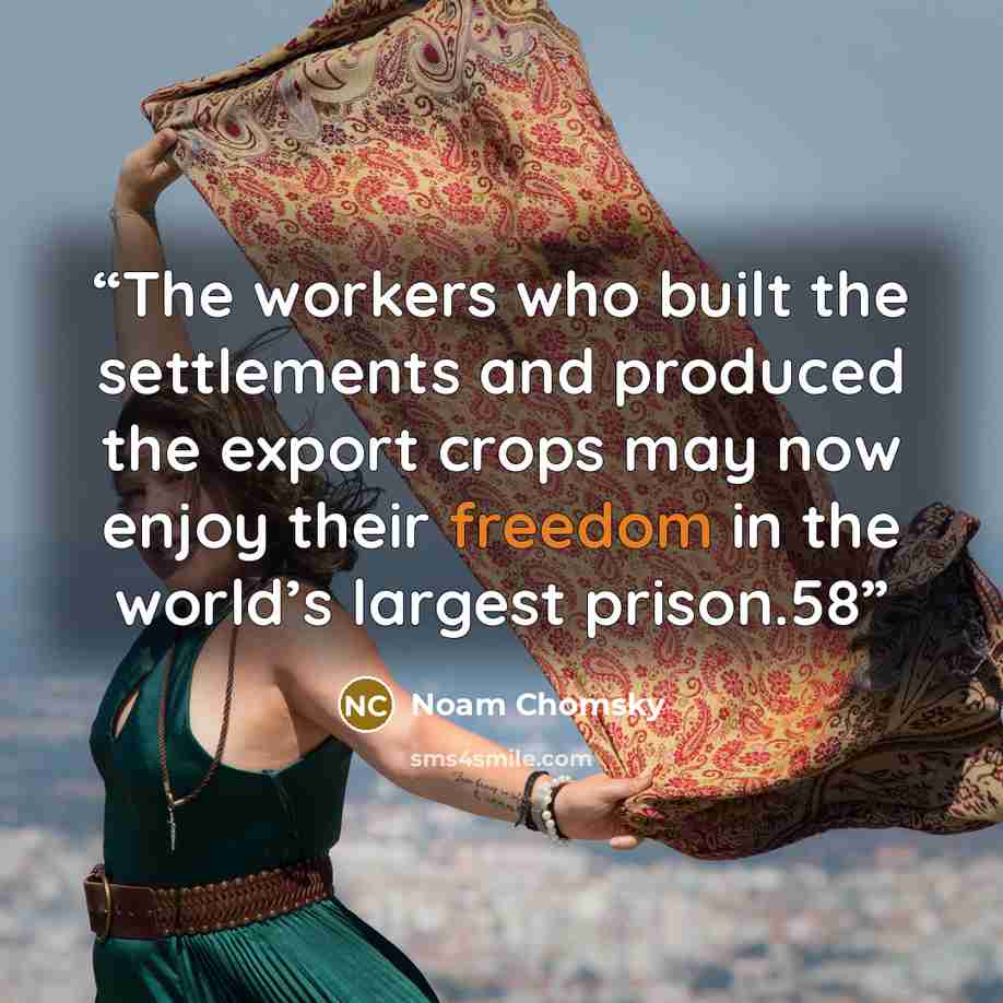 “The workers who built the settlements and produced the export crops may now enjoy their freedom in the world’s largest prison.58” quote by Noam Chomsky