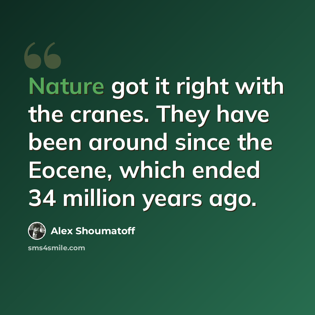 “Nature got it right with the cranes. They have been around since the Eocene, which ended 34 million years ago.” quote by Alex Shoumatoff