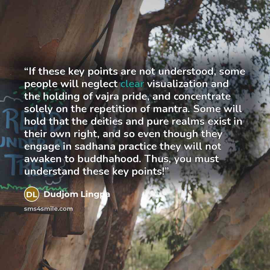 “If these key points are not understood, some people will neglect clear visualization and the holding of vajra pride, and concentrate solely on the repetition of mantra. Some will hold that the deities and pure realms exist in their own right, and so even though they engage in sadhana practice they…” quote by Dudjom Lingpa