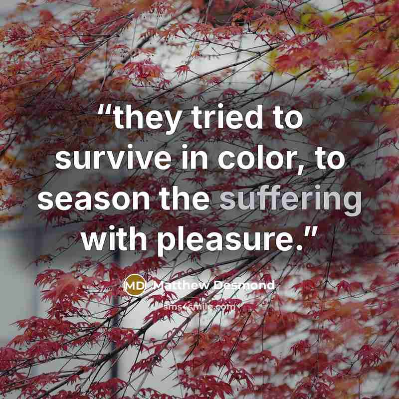 “they tried to survive in color, to season the suffering with pleasure.” quote by Matthew Desmond