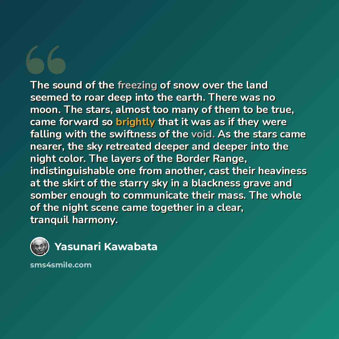“The sound of the freezing of snow over the land seemed to roar deep into the earth. There was no moon. The stars, almost too many of them to be true, came forward so brightly that it was as if they were falling with the swiftness of the void. As the stars came nearer, the sky retreated deeper and…” quote by Yasunari Kawabata