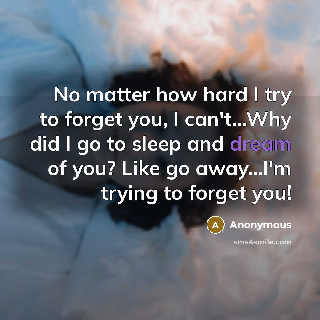 “No matter how hard I try to forget you, I can't...Why did I go to sleep and dream of you? Like go away...I'm trying to forget you!” quote by Anonymous