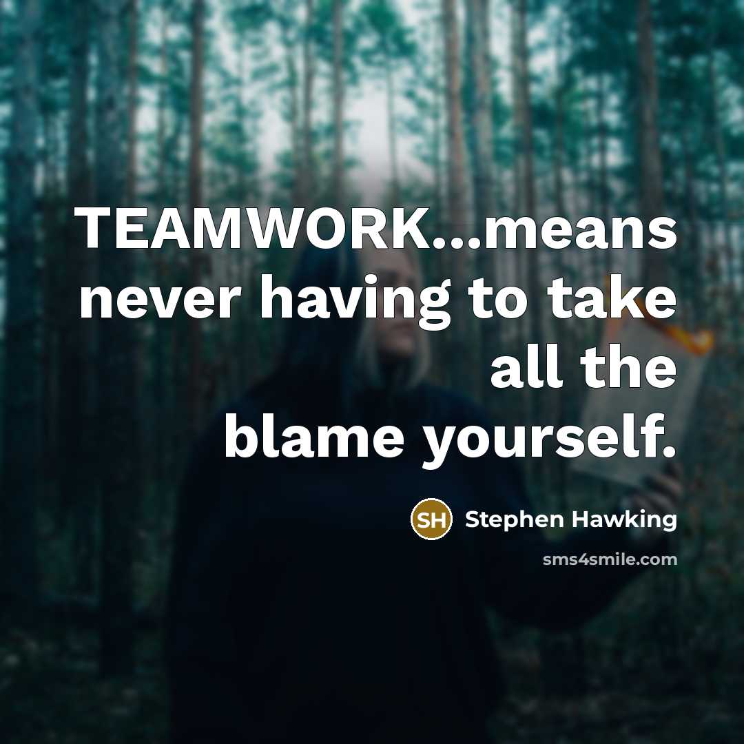 “TEAMWORK...means never having to take all the blame yourself.” quote by Stephen Hawking