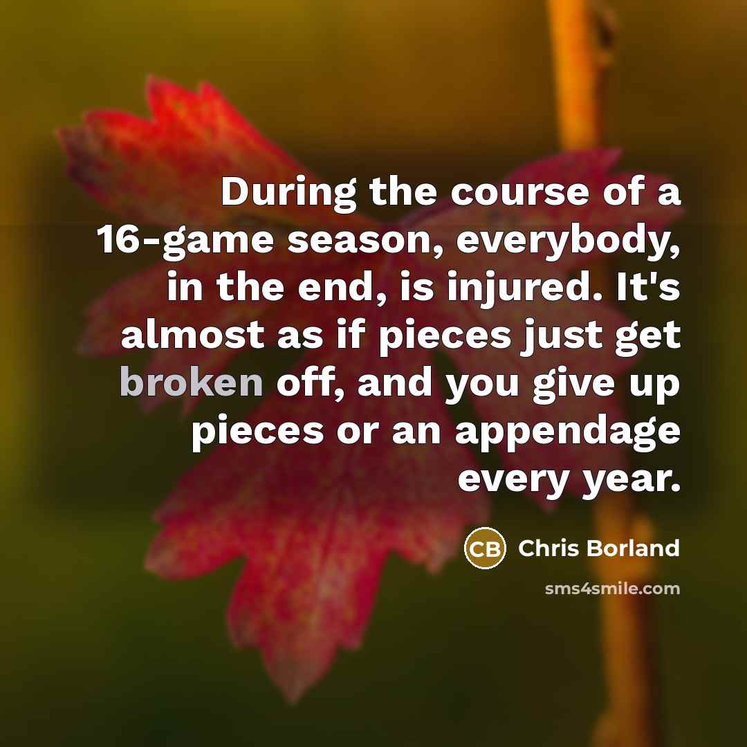“During the course of a 16-game season, everybody, in the end, is injured. It's almost as if pieces just get broken off, and you give up pieces or an appendage every year.” quote by Chris Borland
