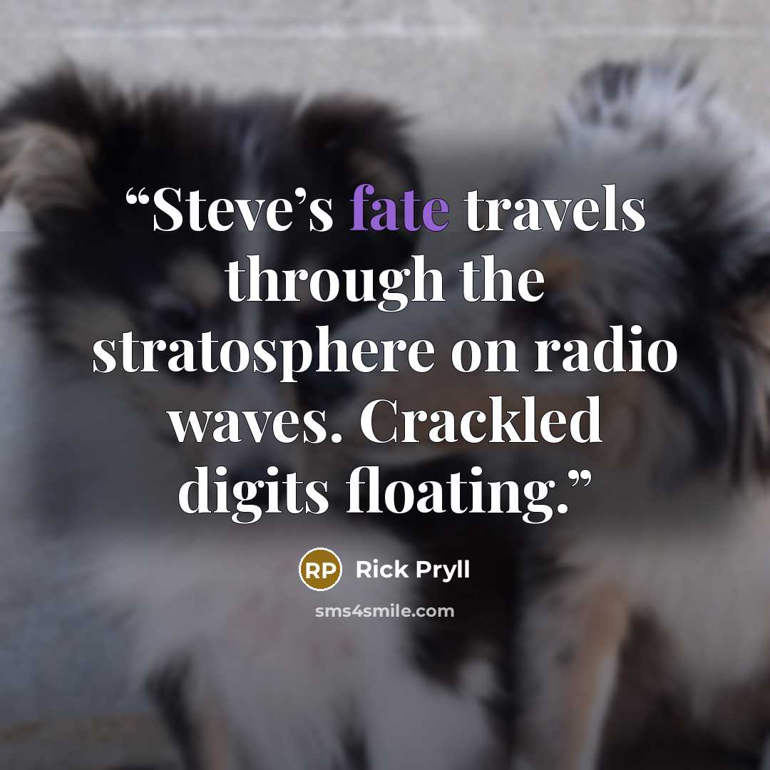 “Steve’s fate travels through the stratosphere on radio waves. Crackled digits floating.” quote by Rick Pryll