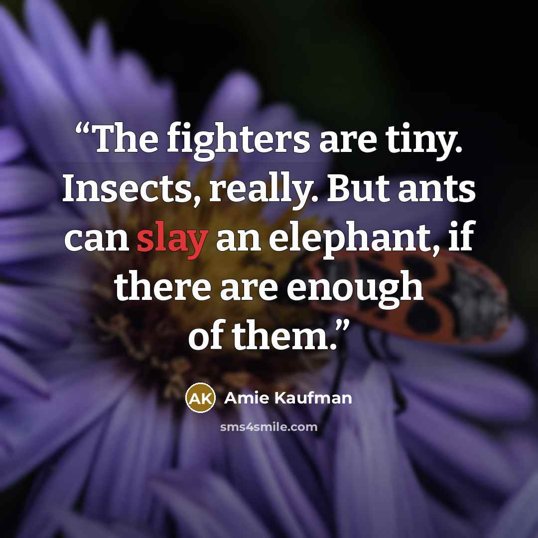 “The fighters are tiny. Insects, really. But ants can slay an elephant, if there are enough of them.” quote by Amie Kaufman