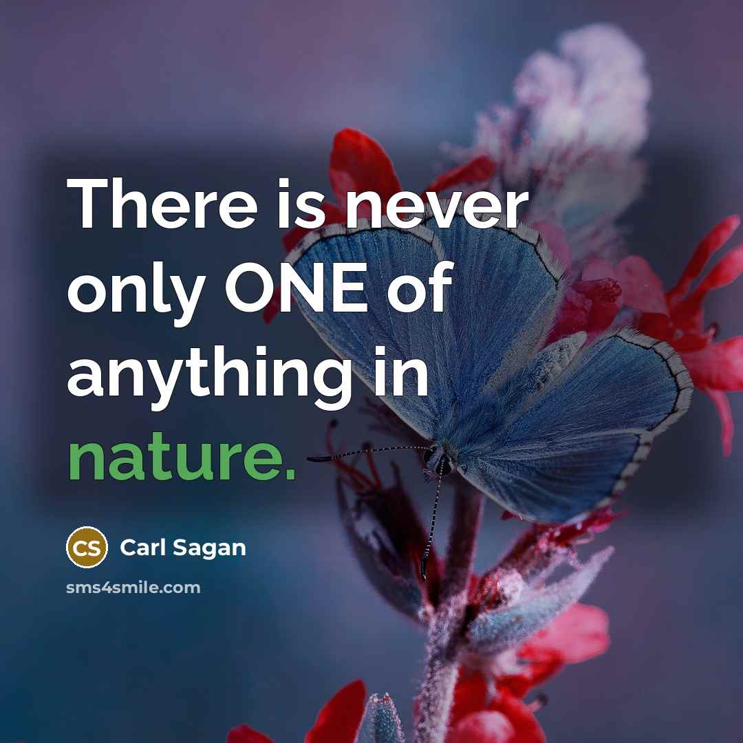 “There is never only ONE of anything in nature.” quote by Carl Sagan