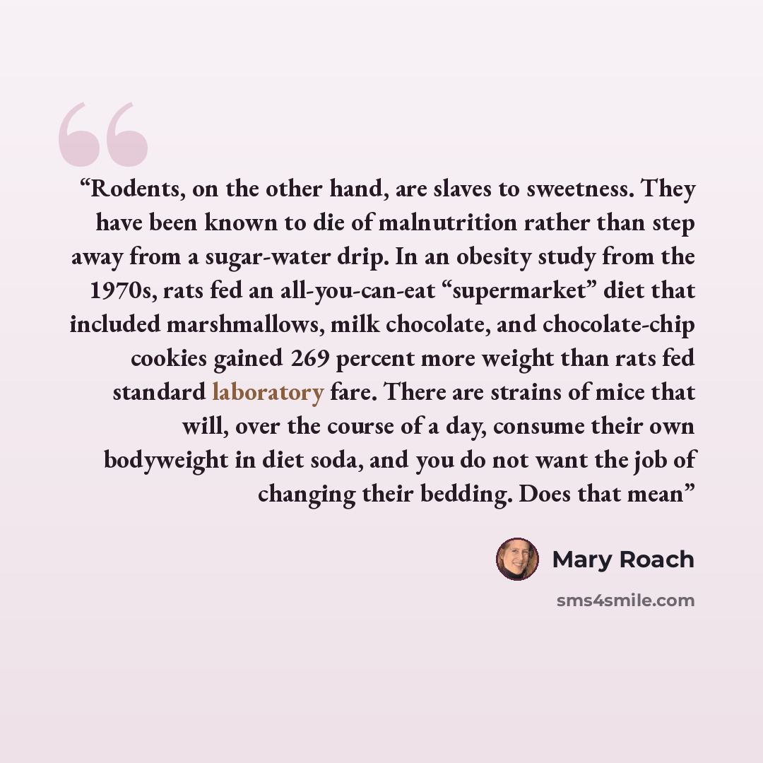 “Rodents, on the other hand, are slaves to sweetness. They have been known to die of malnutrition rather than step away from a sugar-water drip. In an obesity study from the 1970s, rats fed an all-you-can-eat “supermarket” diet that included marshmallows, milk chocolate, and chocolate-chip cookies…” quote by Mary Roach