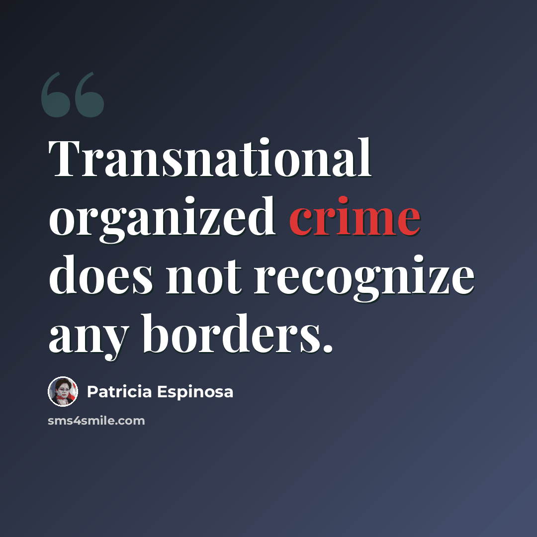 “Transnational organized crime does not recognize any borders.” quote by Patricia Espinosa