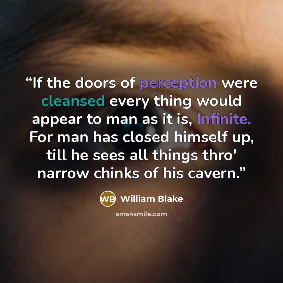 “If the doors of perception were cleansed every thing would appear to man as it is, Infinite. For man has closed himself up, till he sees all things thro' narrow chinks of his cavern.” quote by William Blake