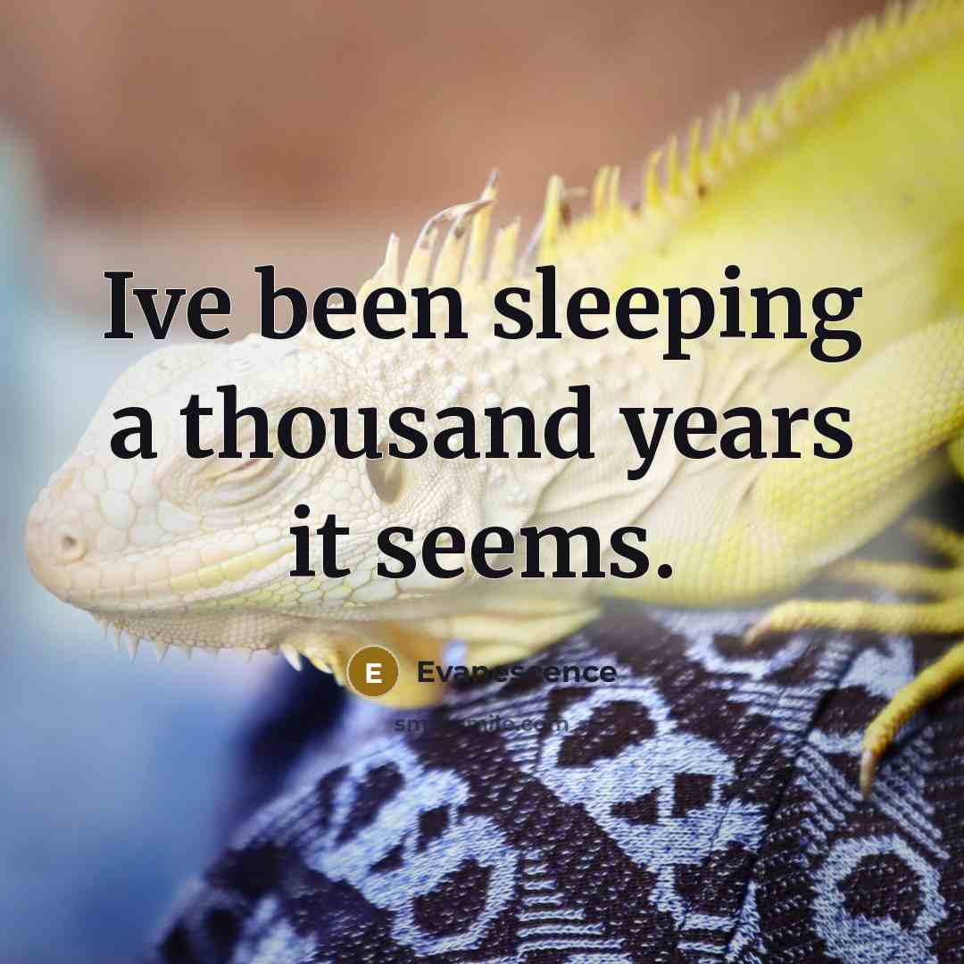 “Ive been sleeping a thousand years it seems.” quote by Evanescence