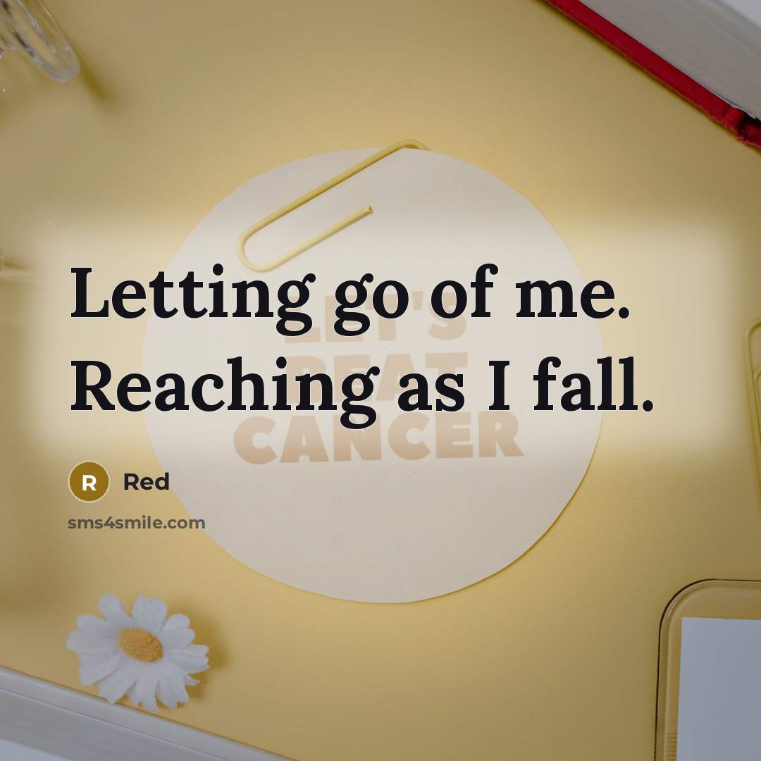 “Letting go of me. Reaching as I fall.” quote by Red