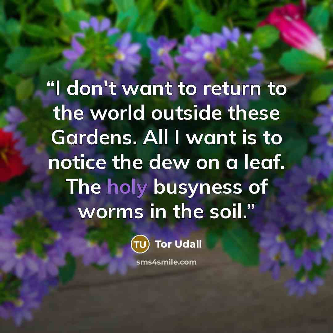 “I don't want to return to the world outside these Gardens. All I want is to notice the dew on a leaf. The holy busyness of worms in the soil.” quote by Tor Udall
