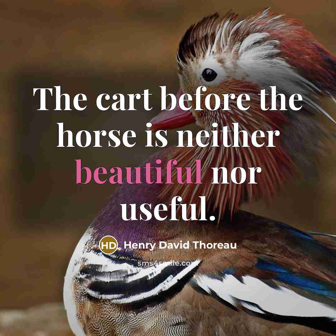 “The cart before the horse is neither beautiful nor useful.” quote by Henry David Thoreau