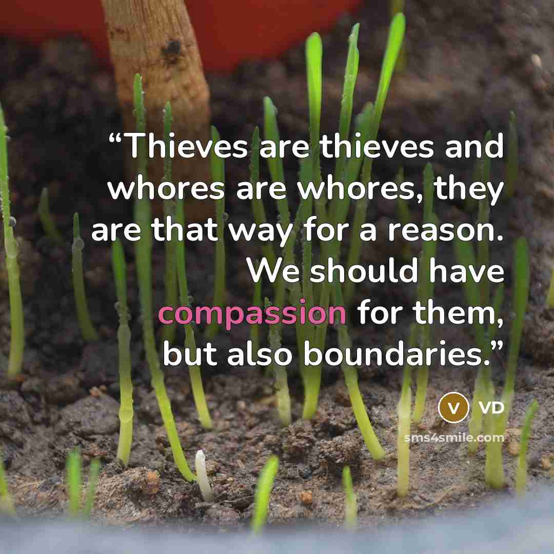 “Thieves are thieves and whores are whores, they are that way for a reason. We should have compassion for them, but also boundaries.” quote by VD