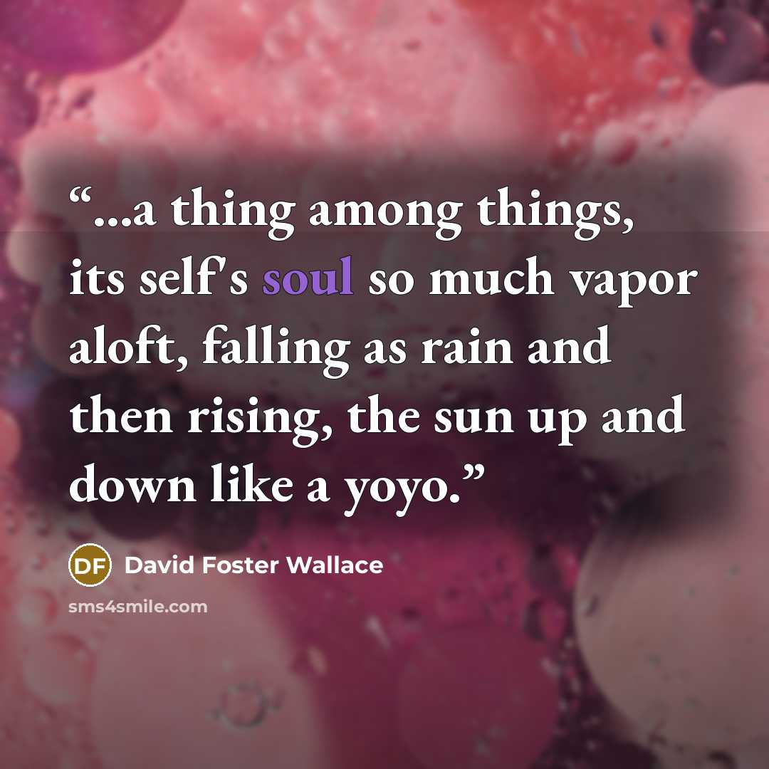 “...a thing among things, its self's soul so much vapor aloft, falling as rain and then rising, the sun up and down like a yoyo.” quote by David Foster Wallace