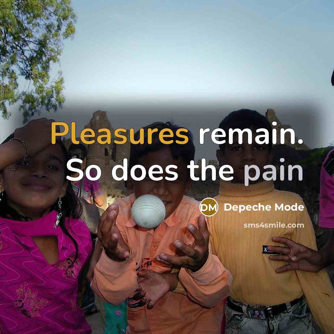 “Pleasures remain. So does the pain” quote by Depeche Mode