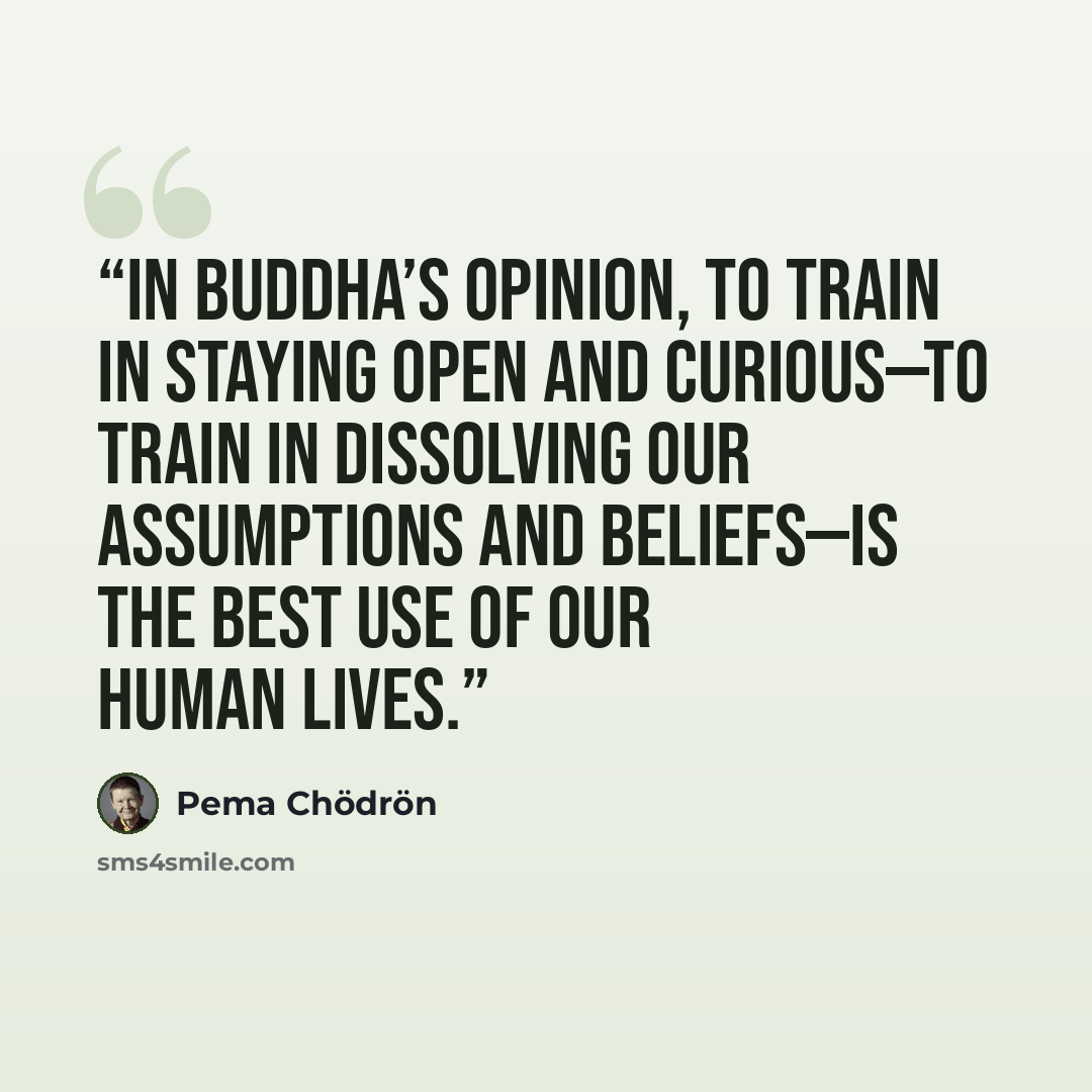 “In Buddha’s opinion, to train in staying open and curious—to train in dissolving our assumptions and beliefs—is the best use of our human lives.” quote by Pema Chödrön