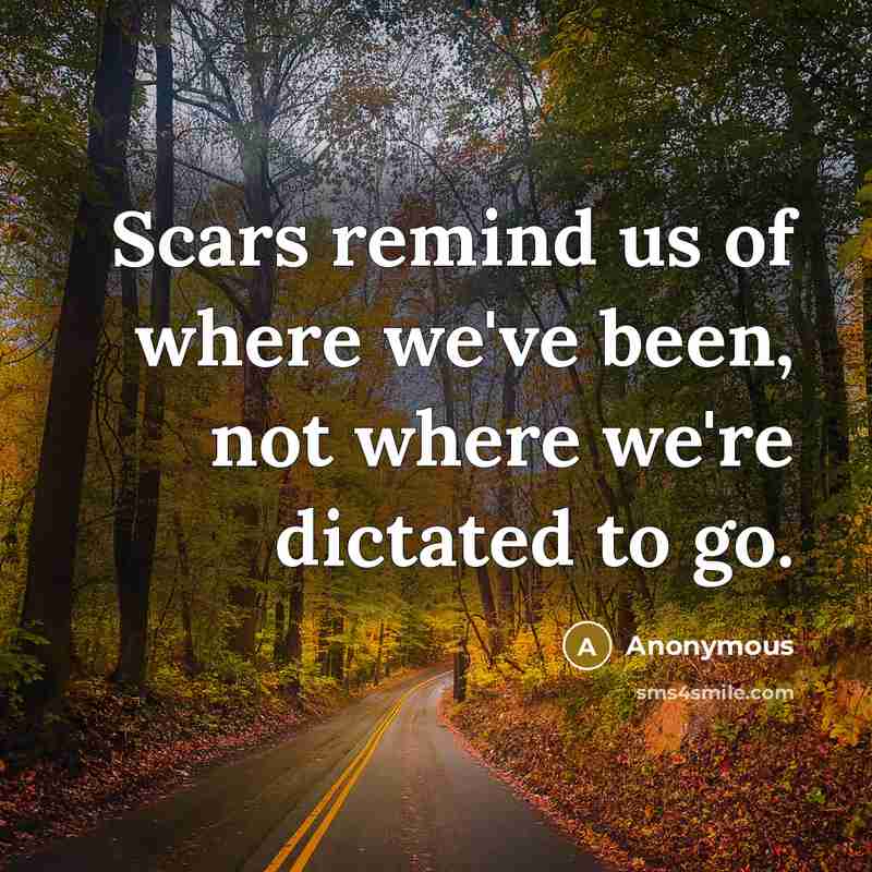 “Scars remind us of where we've been, not where we're dictated to go.” quote by Anonymous
