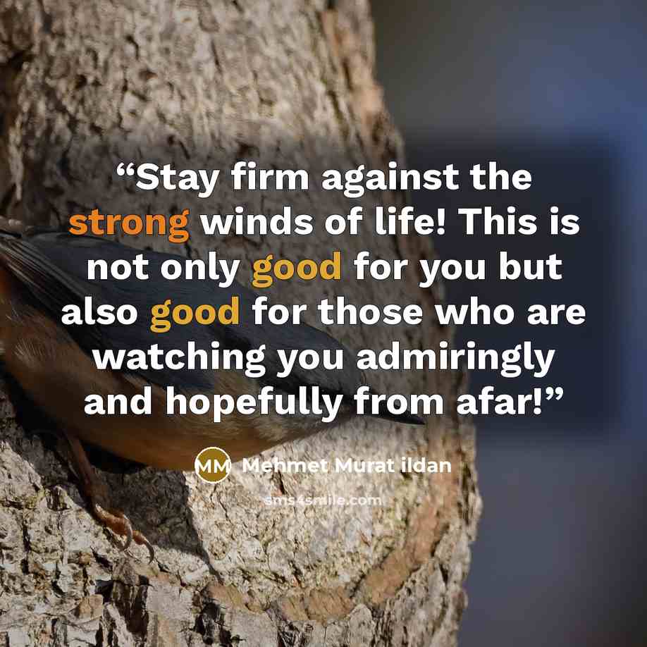 “Stay firm against the strong winds of life! This is not only good for you but also good for those who are watching you admiringly and hopefully from afar!” quote by Mehmet Murat ildan