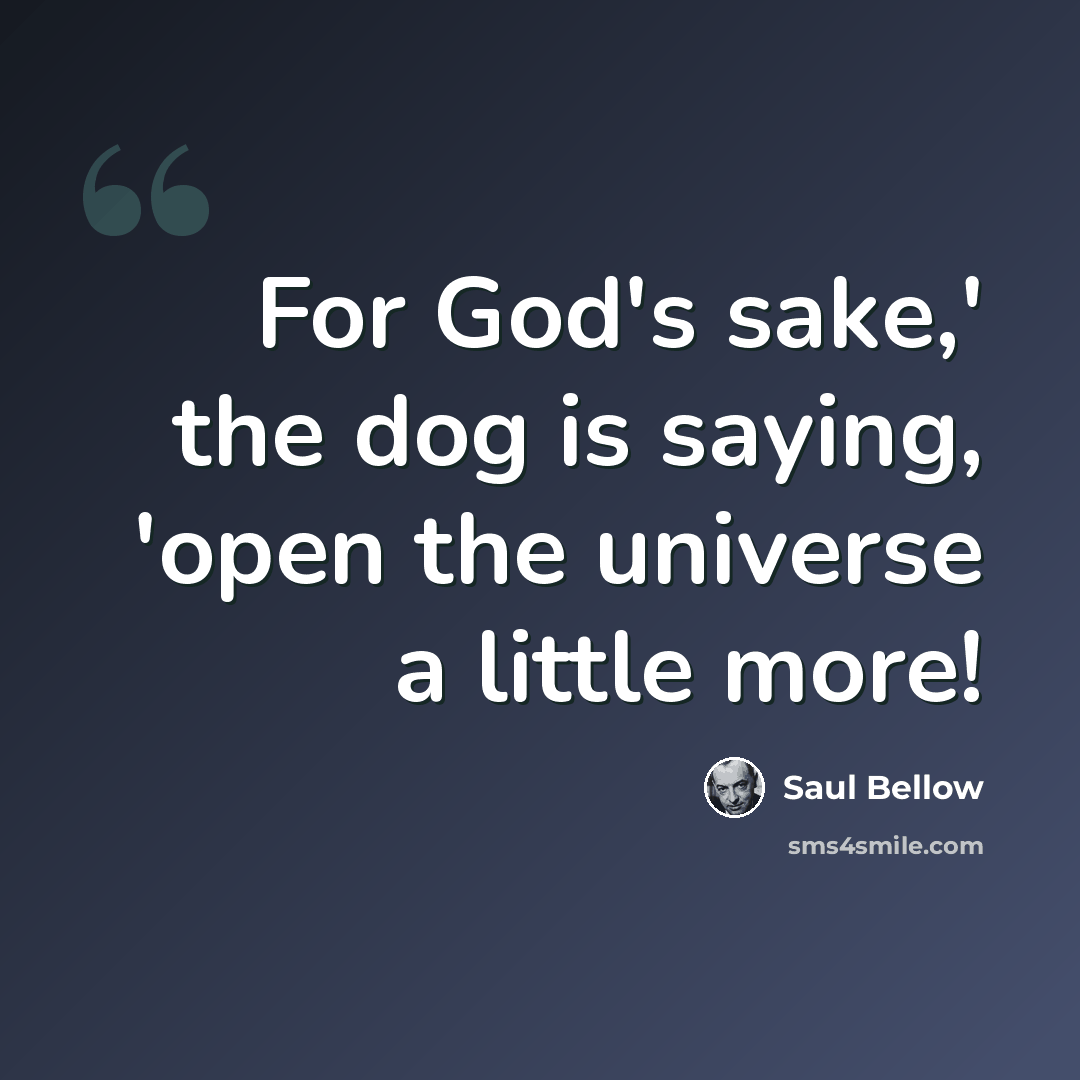“For God's sake,' the dog is saying, 'open the universe a little more!” quote by Saul Bellow