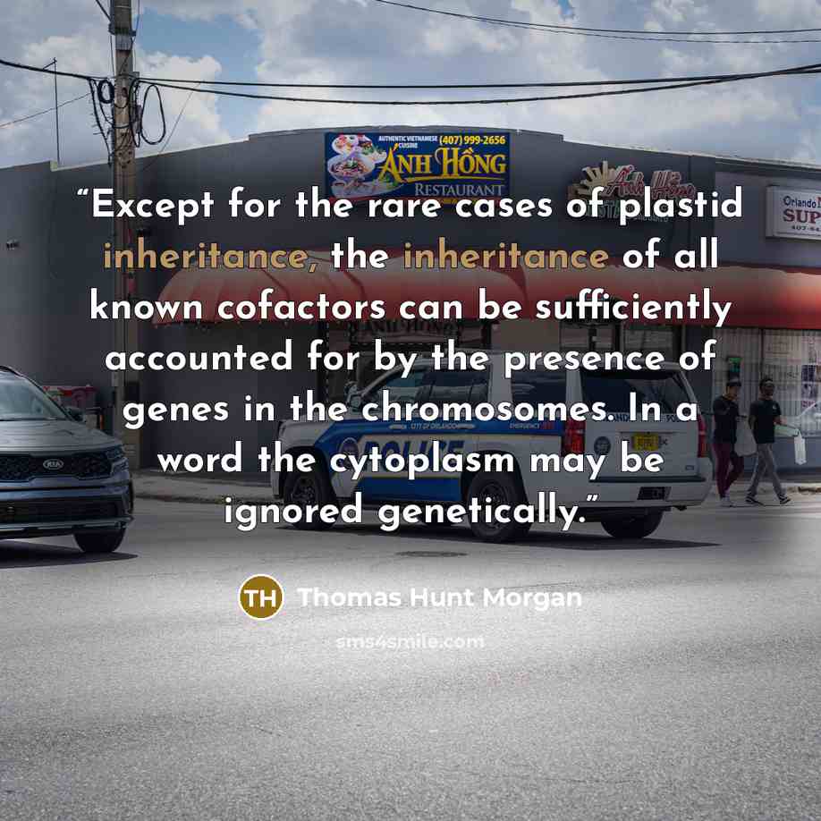 “Except for the rare cases of plastid inheritance, the inheritance of all known cofactors can be sufficiently accounted for by the presence of genes in the chromosomes. In a word the cytoplasm may be ignored genetically.” quote by Thomas Hunt Morgan