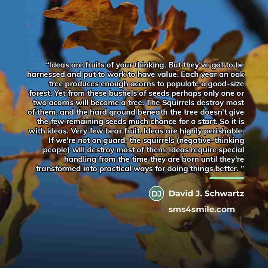 “Ideas are fruits of your thinking. But they've got to be harnessed and put to work to have value. Each year an oak tree produces enough acorns to populate a good-size forest. Yet from these bushels of seeds perhaps only one or two acorns will become a tree. The Squirrels destroy most of them, and…” quote by David J. Schwartz