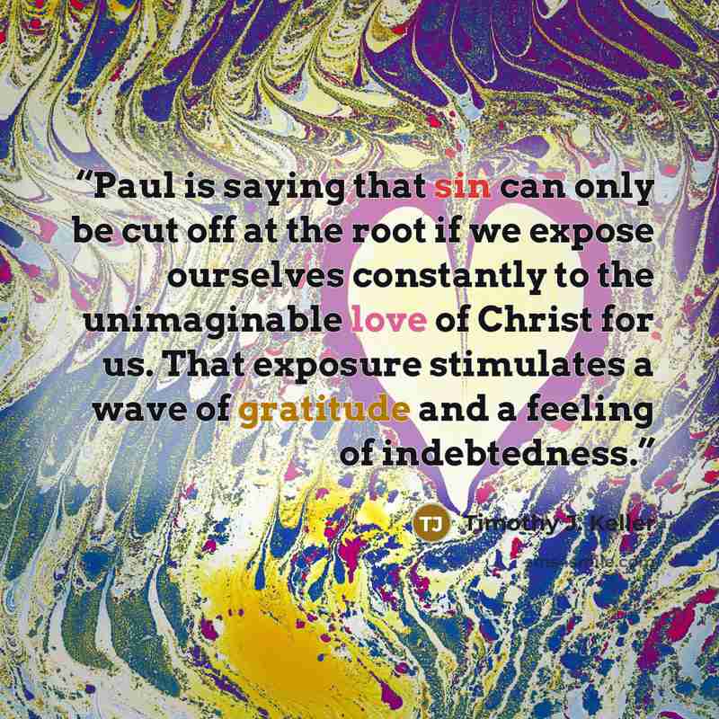 “Paul is saying that sin can only be cut off at the root if we expose ourselves constantly to the unimaginable love of Christ for us. That exposure stimulates a wave of gratitude and a feeling of indebtedness.” quote by Timothy J. Keller