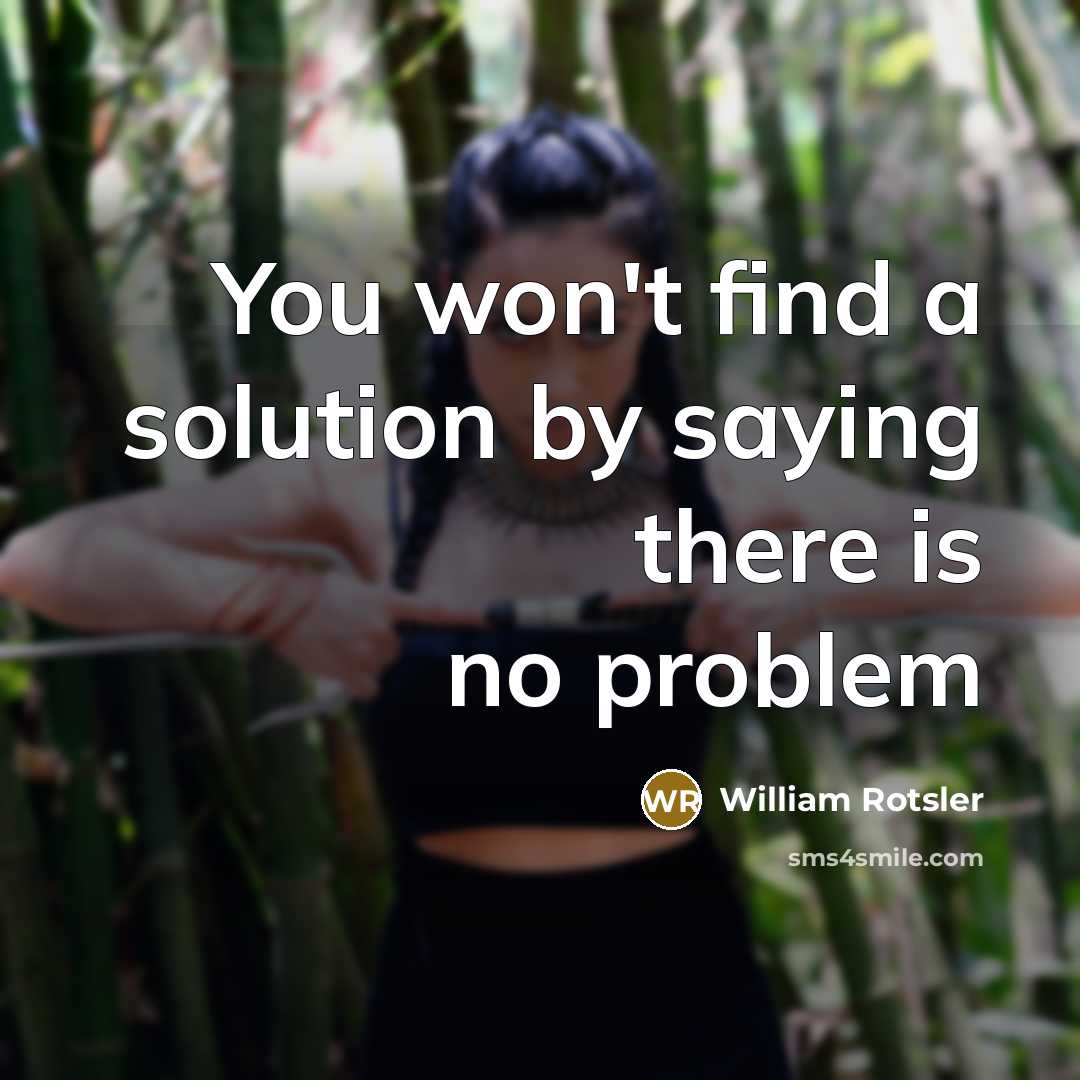 “You won't find a solution by saying there is no problem” quote by William Rotsler