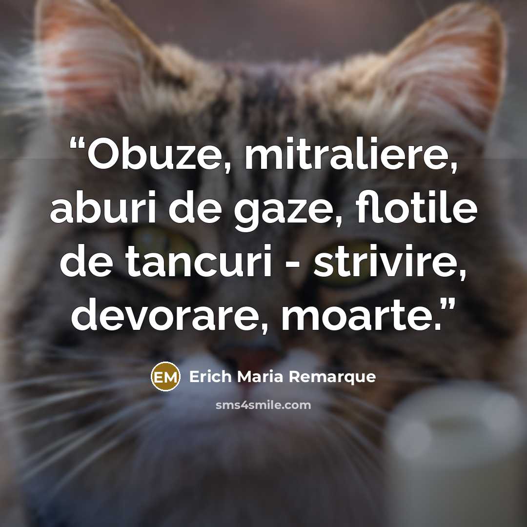 “Obuze, mitraliere, aburi de gaze, flotile de tancuri - strivire, devorare, moarte.” quote by Erich Maria Remarque