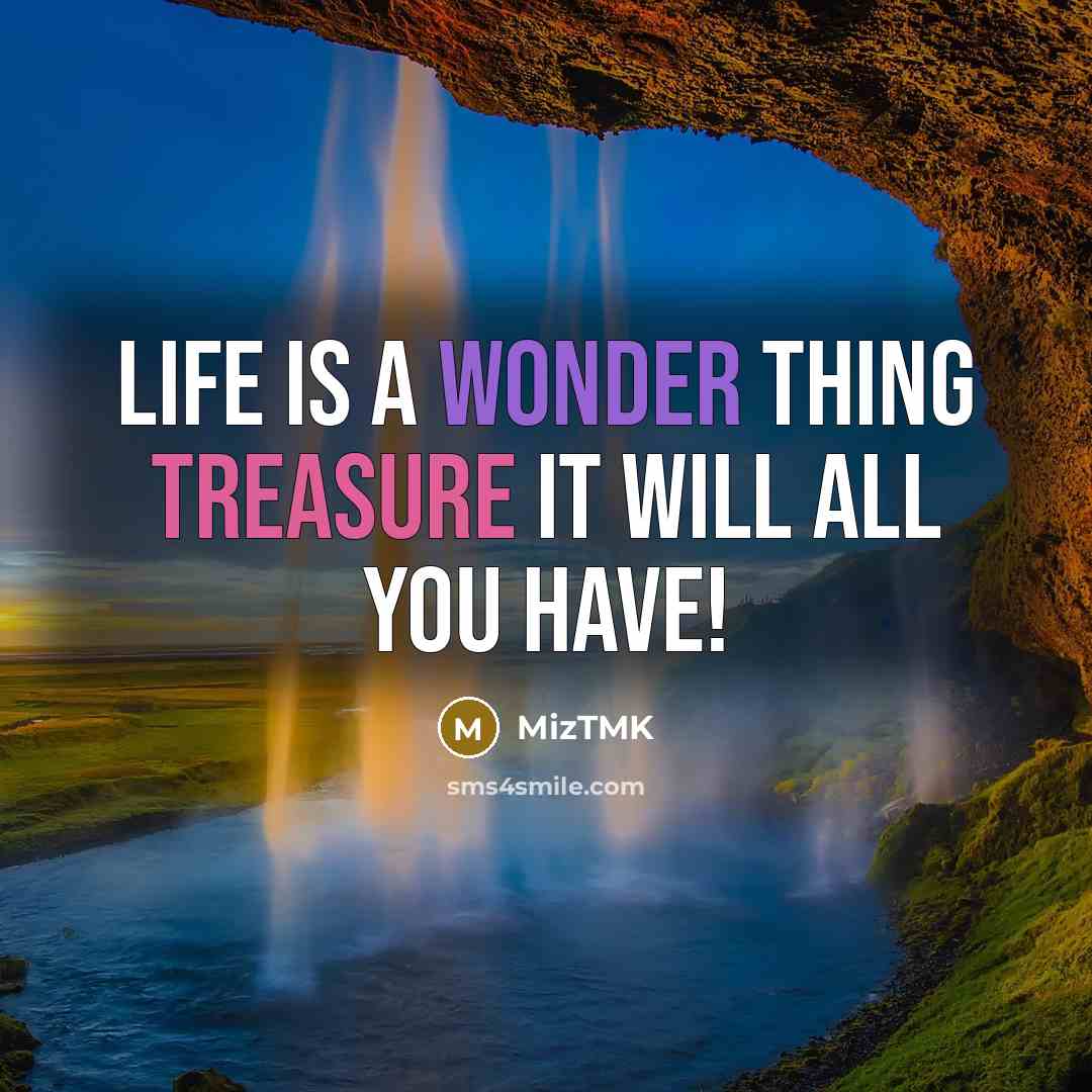 “Life is a wonder thing treasure it will all you have!” quote by MizTMK