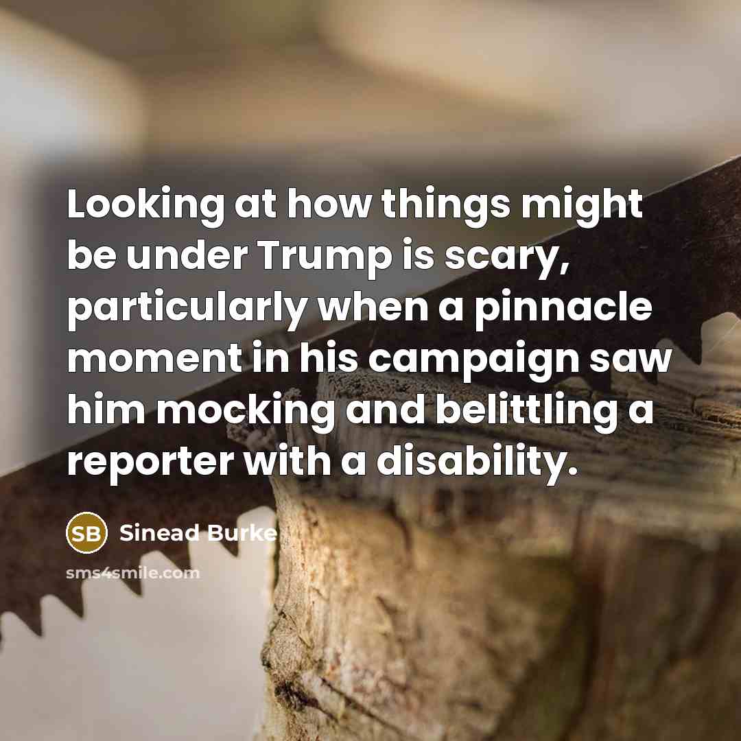 “Looking at how things might be under Trump is scary, particularly when a pinnacle moment in his campaign saw him mocking and belittling a reporter with a disability.” quote by Sinead Burke