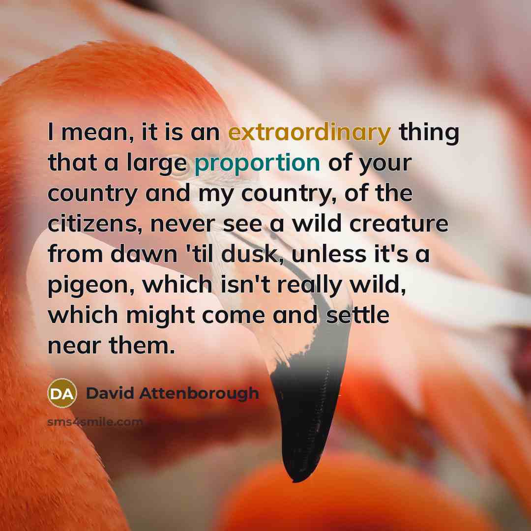 “I mean, it is an extraordinary thing that a large proportion of your country and my country, of the citizens, never see a wild creature from dawn 'til dusk, unless it's a pigeon, which isn't really wild, which might come and settle near them.” quote by David Attenborough