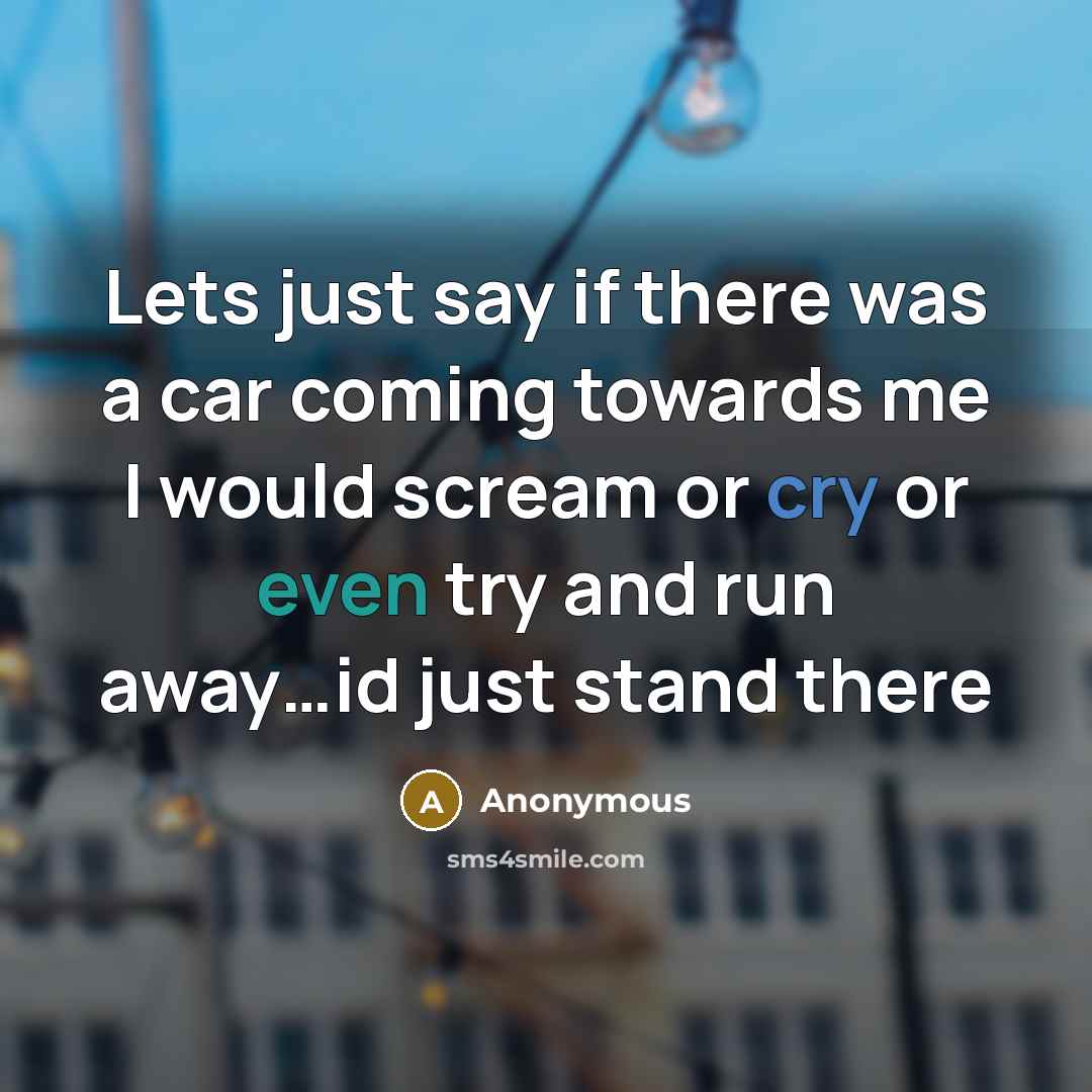 “Lets just say if there was a car coming towards me I would scream or cry or even try and run away…id just stand there” quote by Anonymous