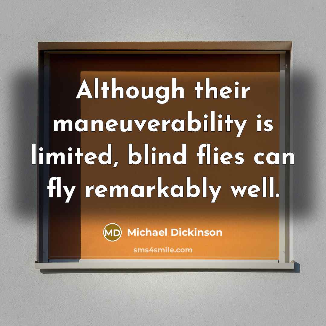 “Although their maneuverability is limited, blind flies can fly remarkably well.” quote by Michael Dickinson