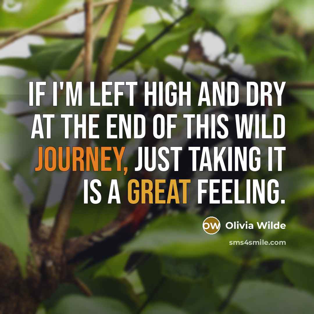 “If I'm left high and dry at the end of this wild journey, just taking it is a great feeling.” quote by Olivia Wilde