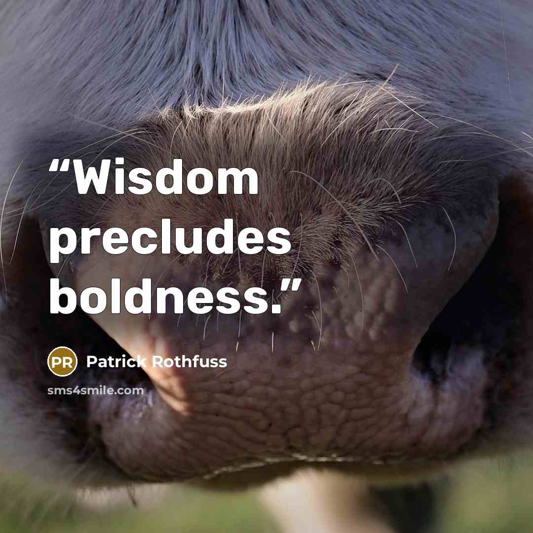 “Wisdom precludes boldness.” quote by Patrick Rothfuss