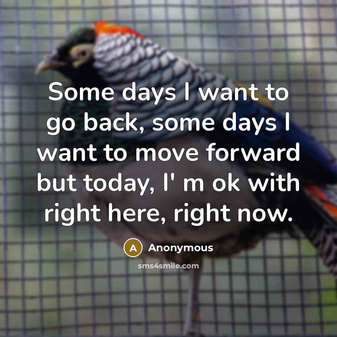“Some days I want to go back, some days I want to move forward but today, I' m ok with right here, right now.” quote by Anonymous