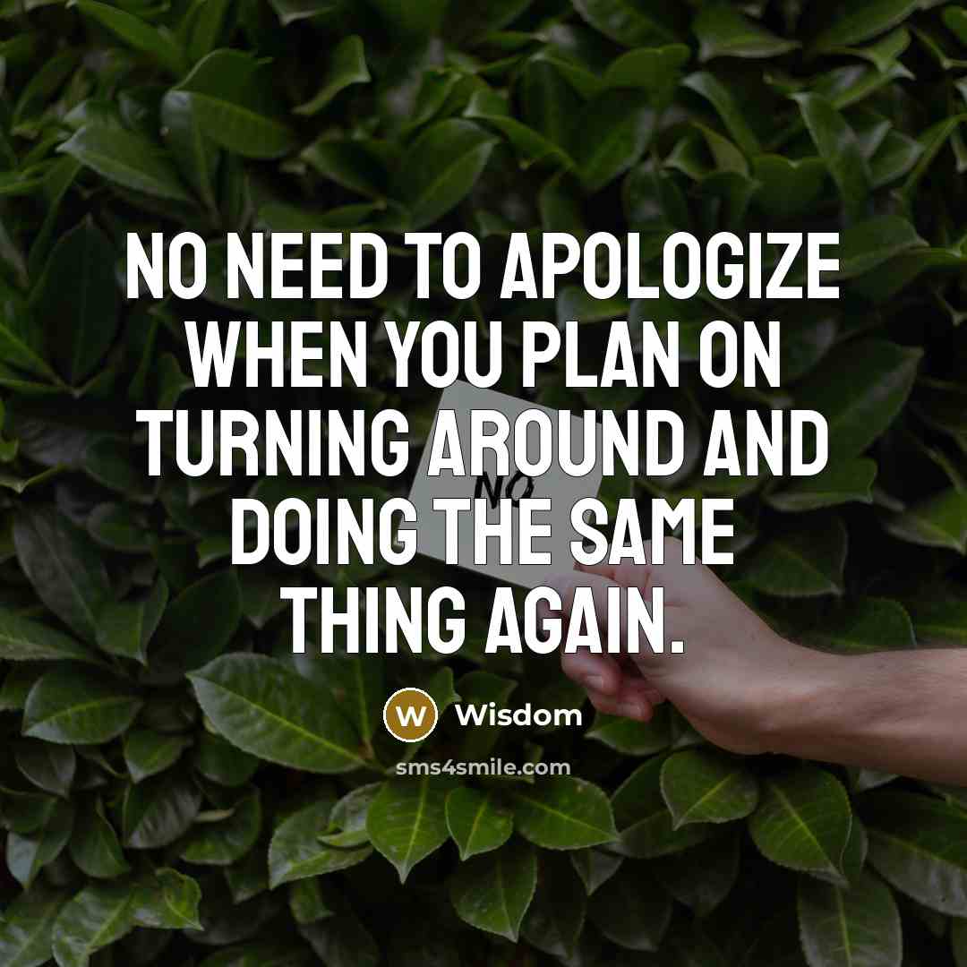 “No need to apologize when you plan on turning around and doing the same thing again.” quote by Wisdom