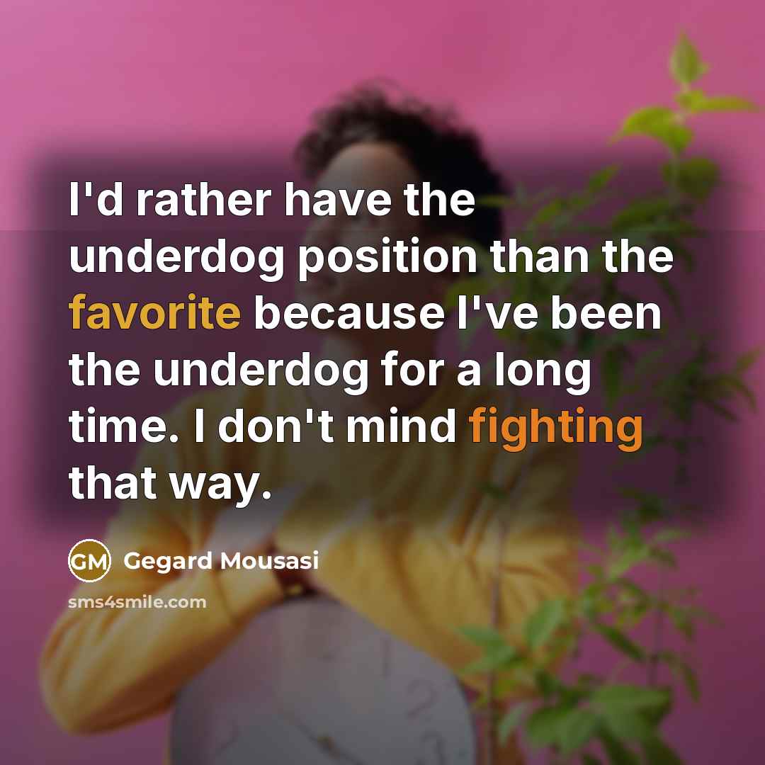 “I'd rather have the underdog position than the favorite because I've been the underdog for a long time. I don't mind fighting that way.” quote by Gegard Mousasi
