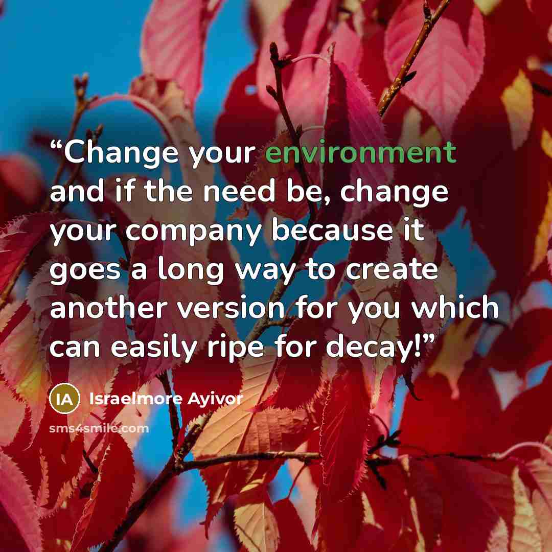 “Change your environment and if the need be, change your company because it goes a long way to create another version for you which can easily ripe for decay!” quote by Israelmore Ayivor