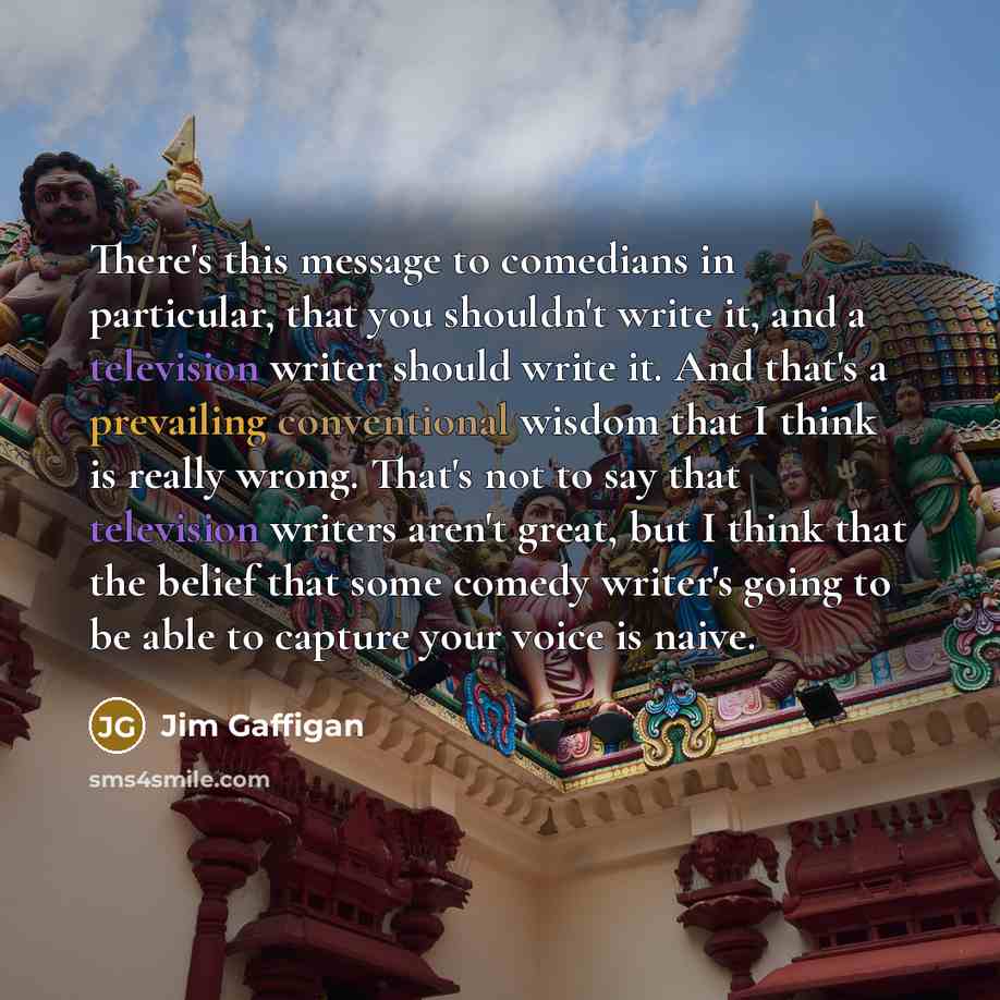“There's this message to comedians in particular, that you shouldn't write it, and a television writer should write it. And that's a prevailing conventional wisdom that I think is really wrong. That's not to say that television writers aren't great, but I think that the belief that some comedy…” quote by Jim Gaffigan