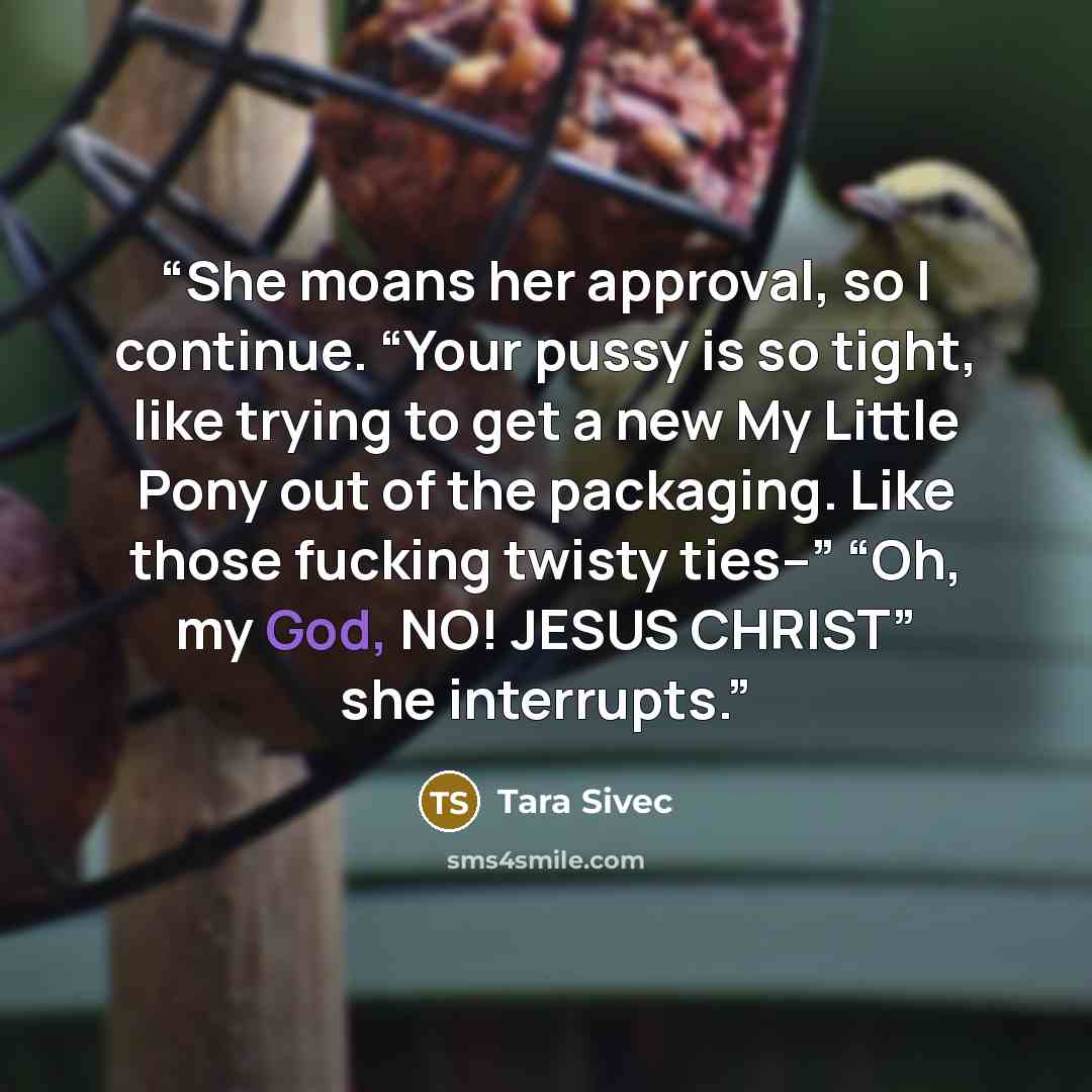 “She moans her approval, so I continue. “Your pussy is so tight, like trying to get a new My Little Pony out of the packaging. Like those fucking twisty ties–” “Oh, my God, NO! JESUS CHRIST” she interrupts.” quote by Tara Sivec