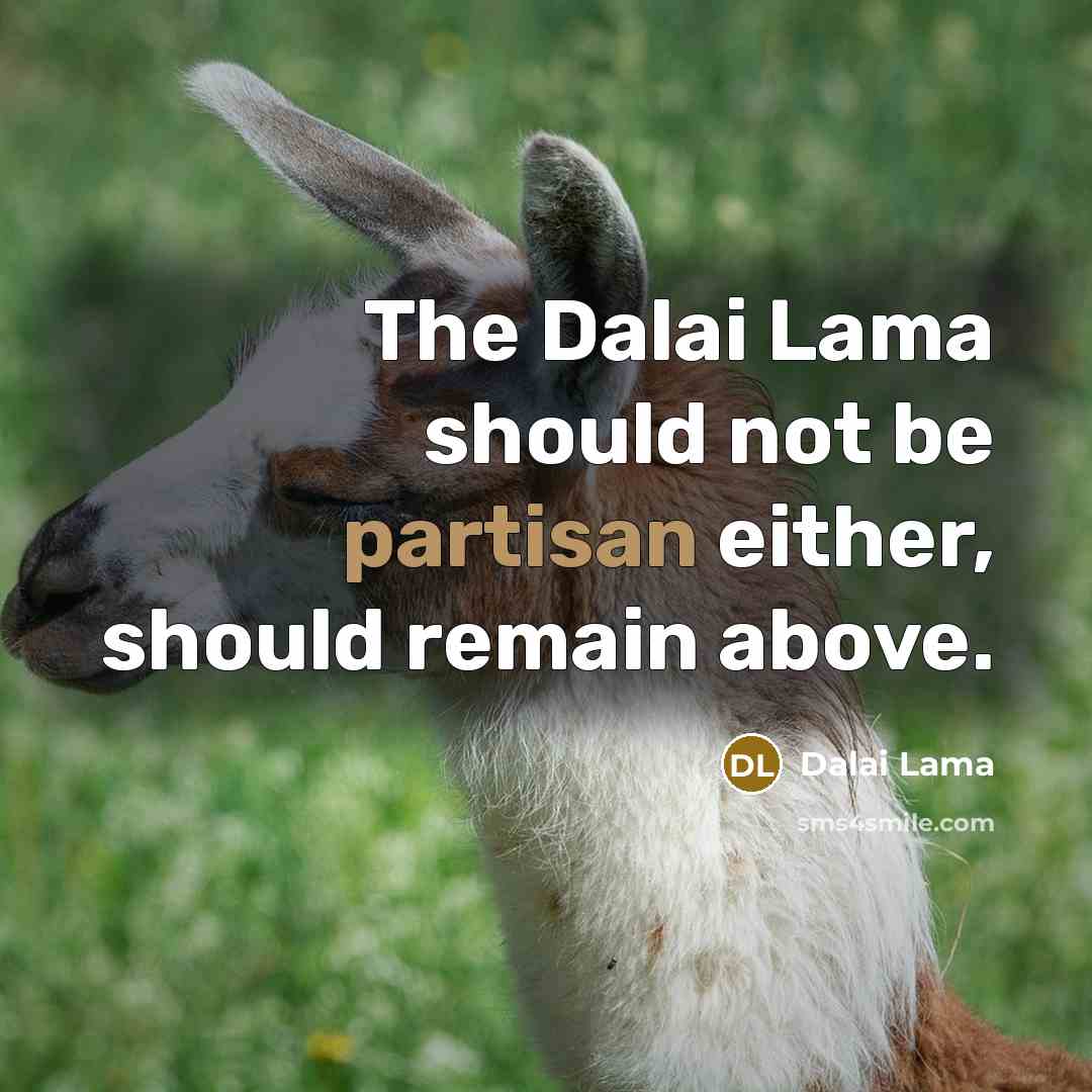 “The Dalai Lama should not be partisan either, should remain above.” quote by Dalai Lama