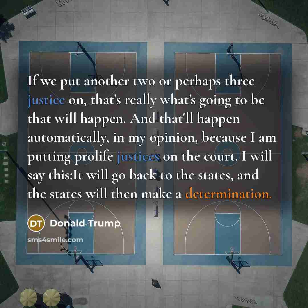 “If we put another two or perhaps three justice on, that's really what's going to be ­­ that will happen. And that'll happen automatically, in my opinion, because I am putting pro­life justices on the court. I will say this:It will go back to the states, and the states will then make a determination.” quote by Donald Trump