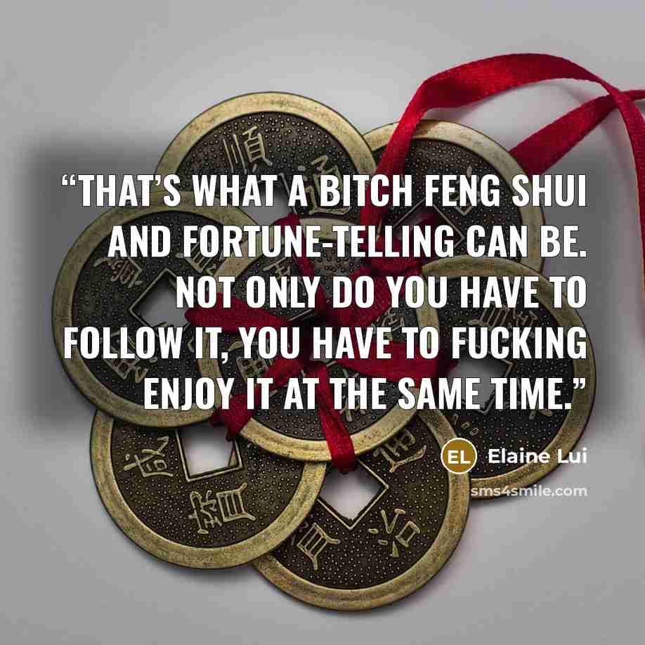“That’s what a bitch feng shui and fortune-telling can be. Not only do you have to follow it, you have to fucking enjoy it at the same time.” quote by Elaine Lui
