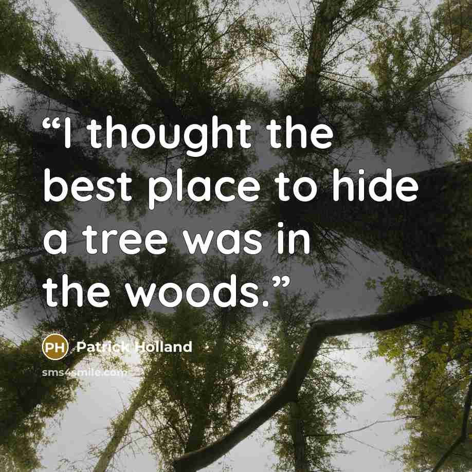“I thought the best place to hide a tree was in the woods.” quote by Patrick Holland